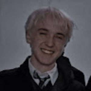 Meet your Posher, Darcy